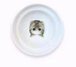 comedero para gatos o perros